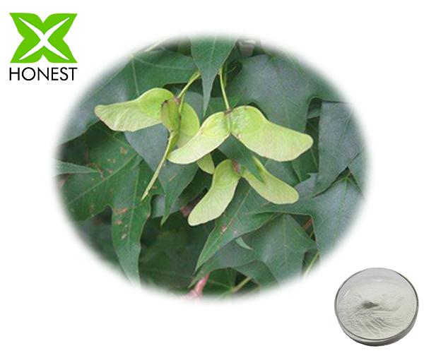 Acer Truncatum seed extract 